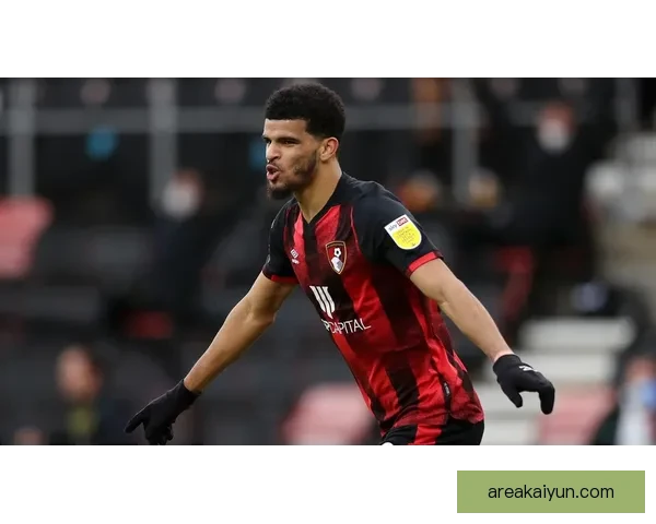 伯恩茅斯续约索兰克，锋线核心留队增强球队竞争力